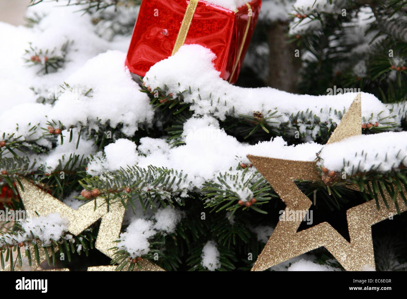 Christmas tree decorations in snow Stock Photo