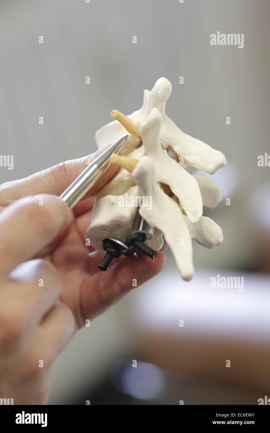 bone spine orthopedics Stock Photo