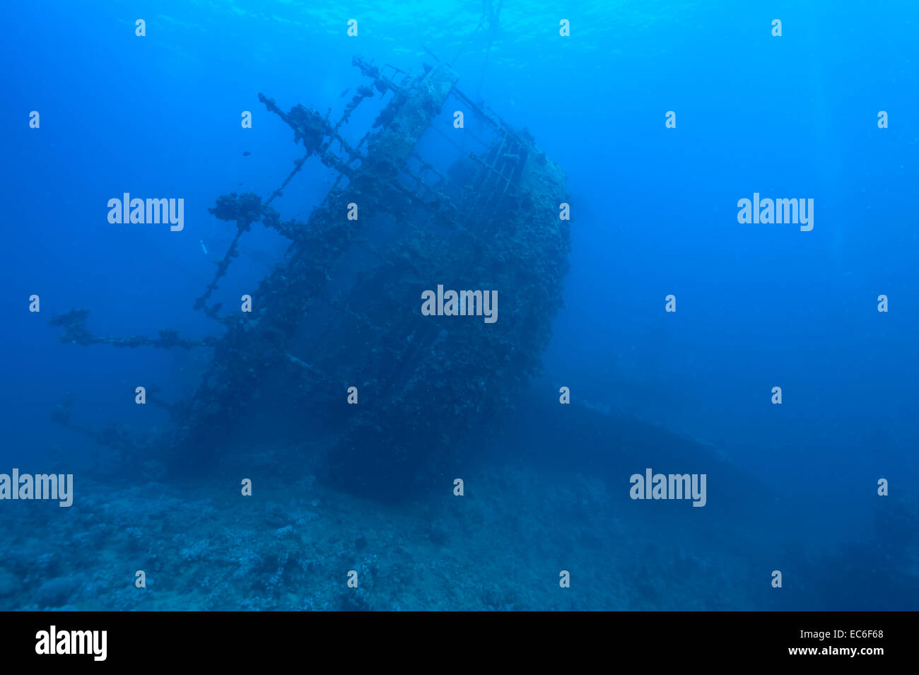 Shipwreck Umbria sunk on Wingate reef in the Red Sea off Sudan coast Stock Photo