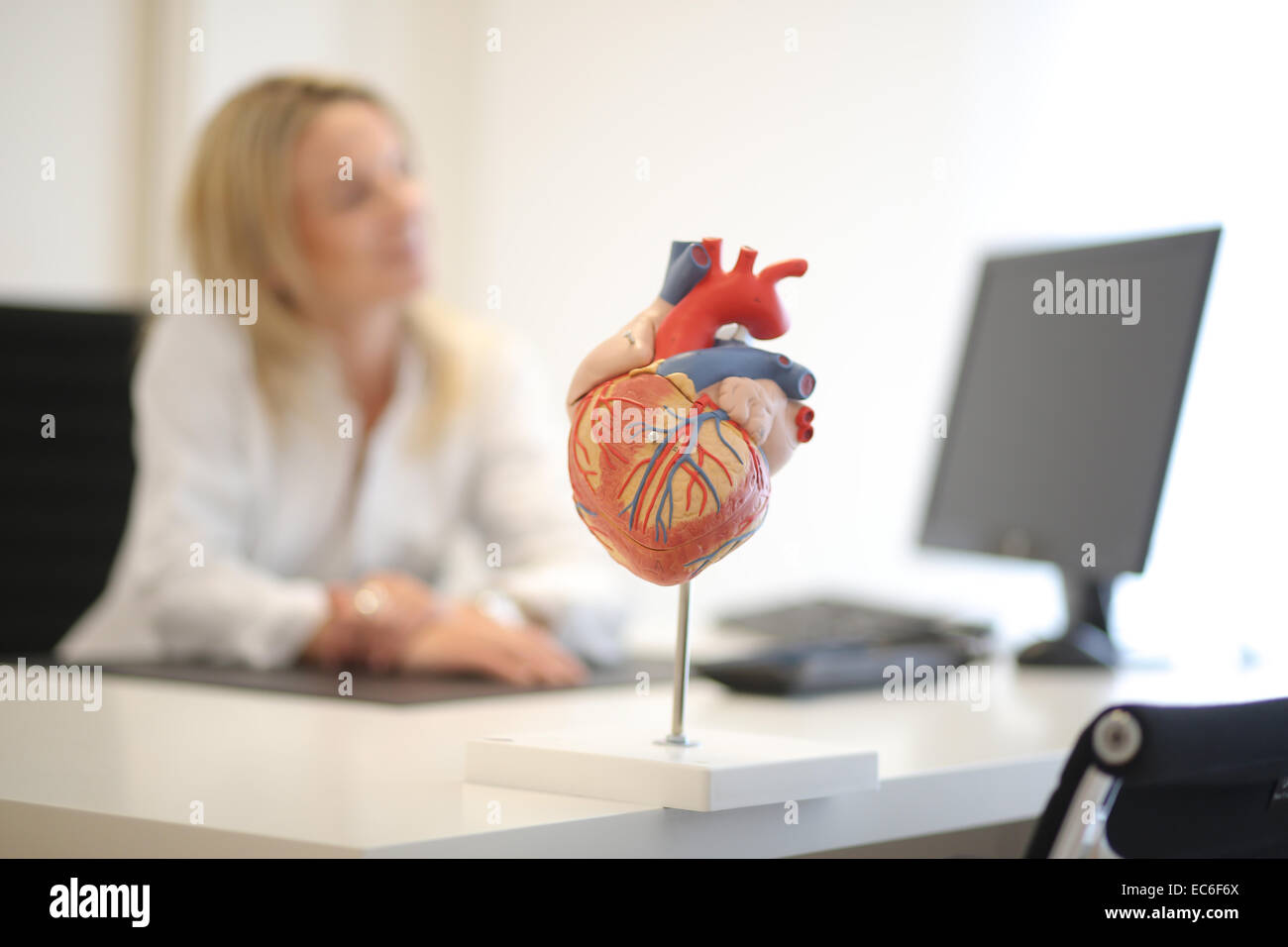 heart modell women in the background Stock Photo