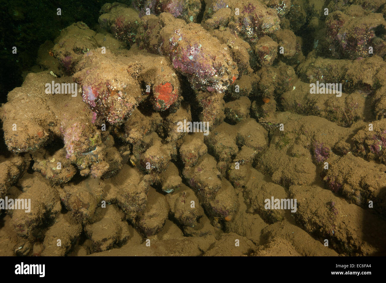 Bombs inside the holds of the shipwreck Umbria sunk on Wingate reef in the Red Sea off Sudan coast Stock Photo