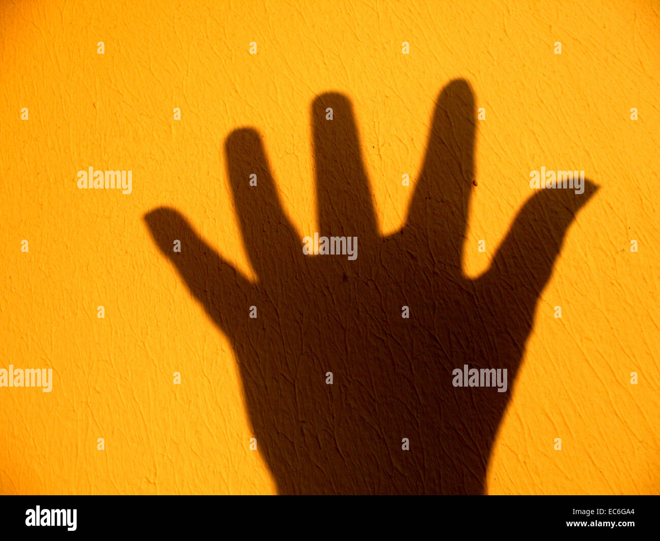 Stretched shadow hi-res stock photography and images - Alamy
