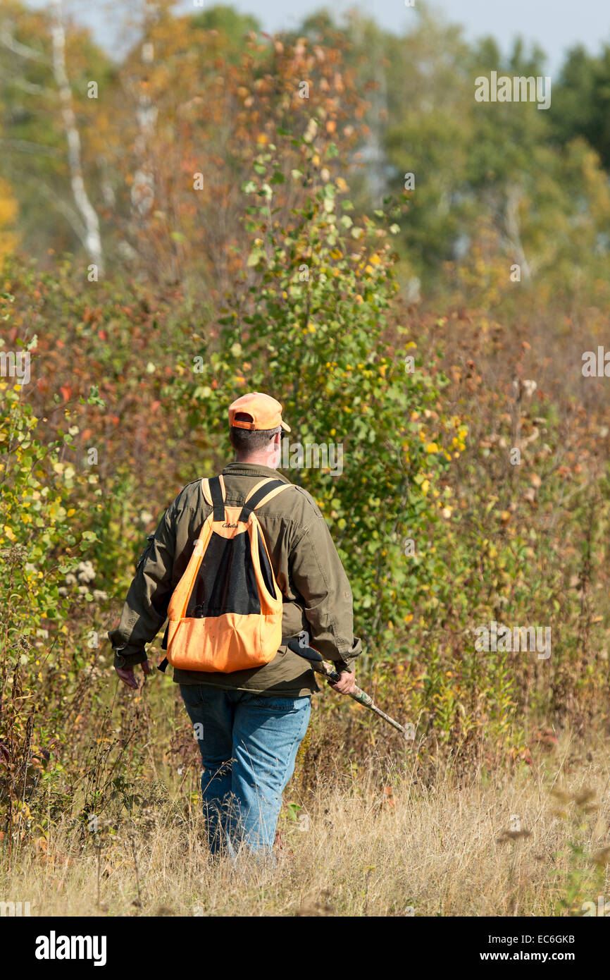 Hunter in the fall Stock Photo - Alamy
