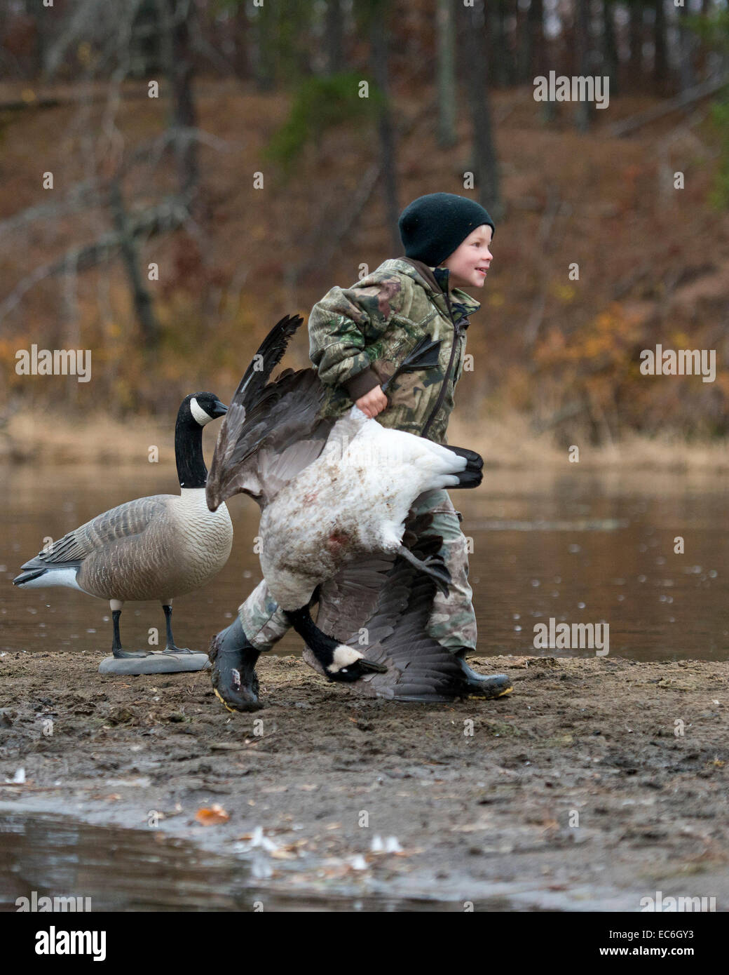Young Boy Goose Hunting Stock Photo Alamy