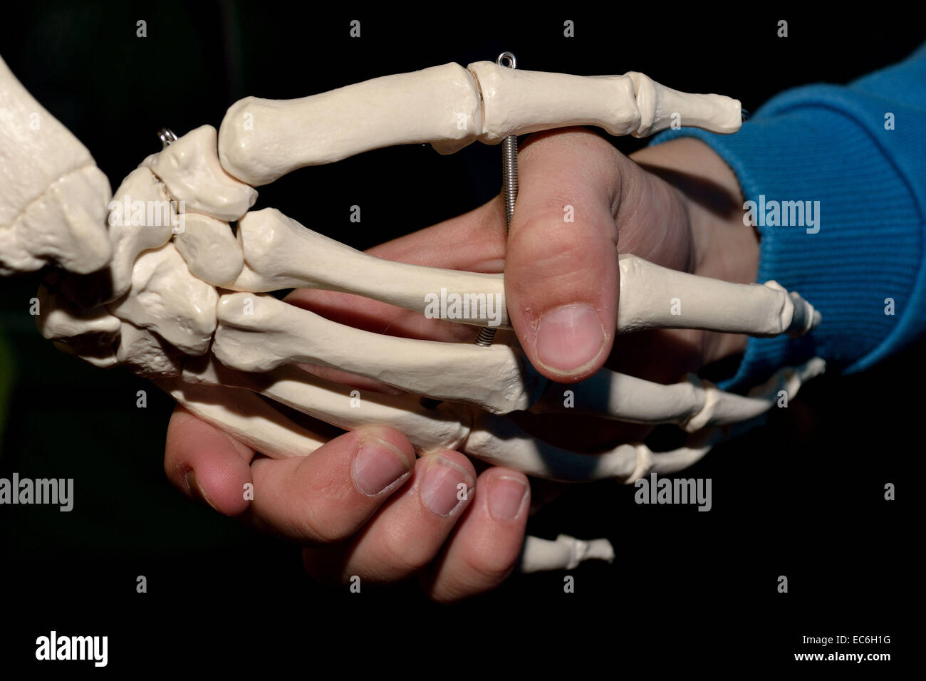 handshaking with skeleton Stock Photo