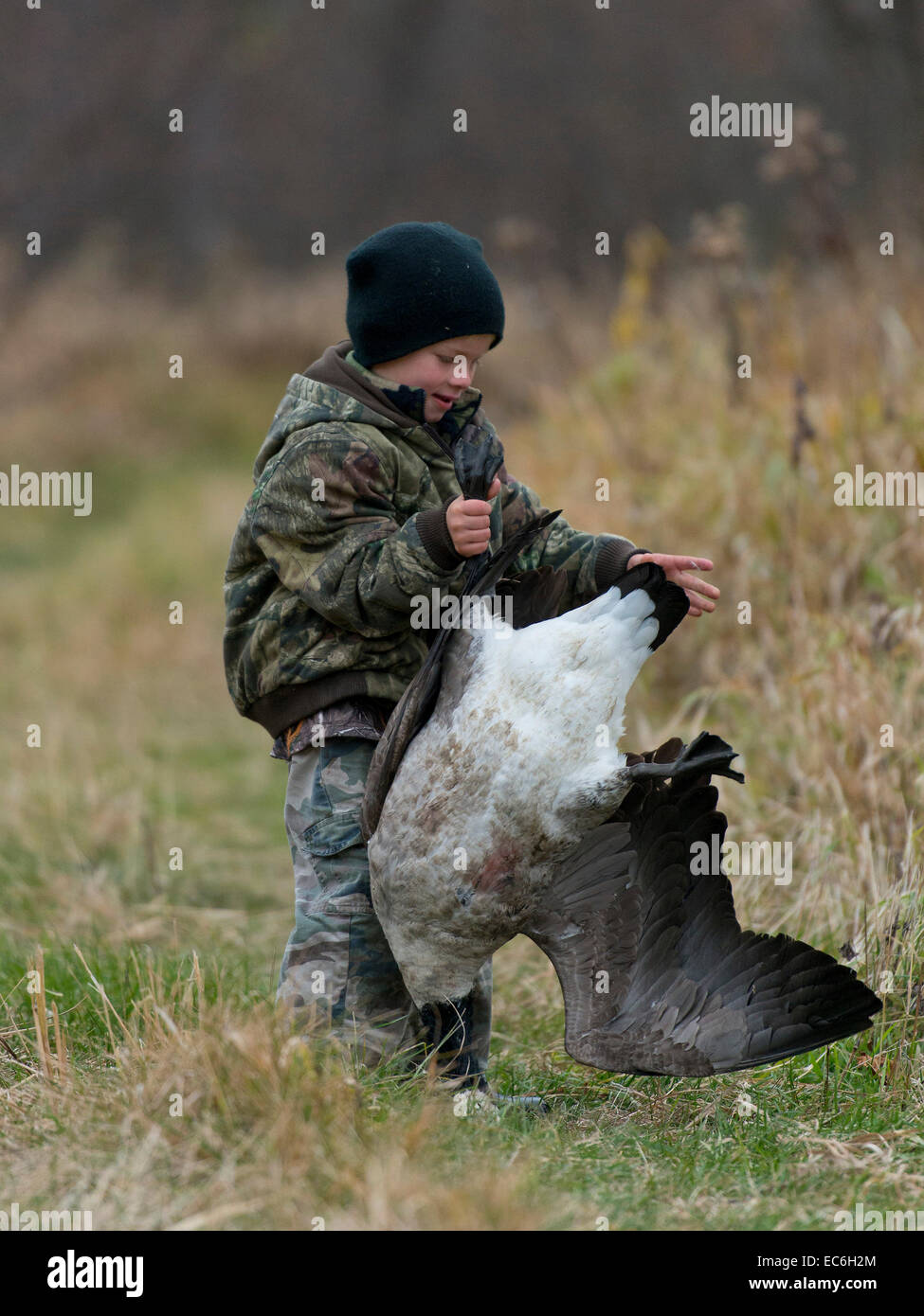 Young Boy Goose Hunting Stock Photo Alamy