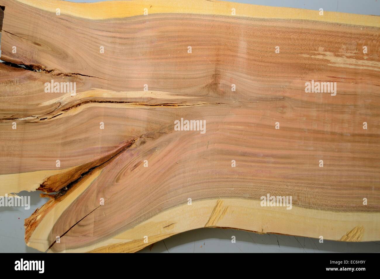 planed plumwood Stock Photo