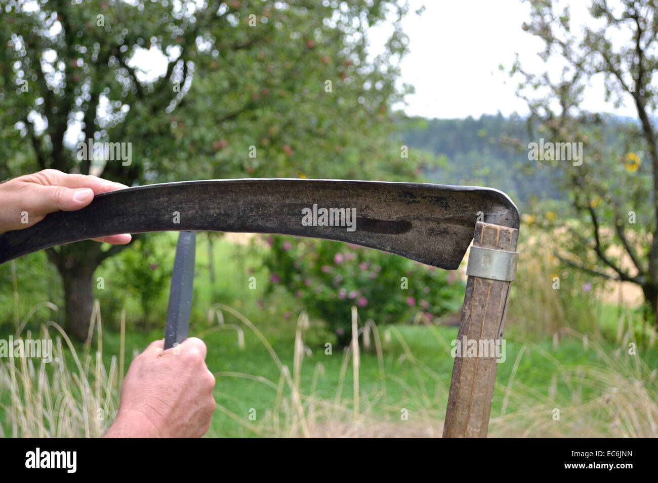 Scythe Blade High Resolution Stock Photography and Images Alamy