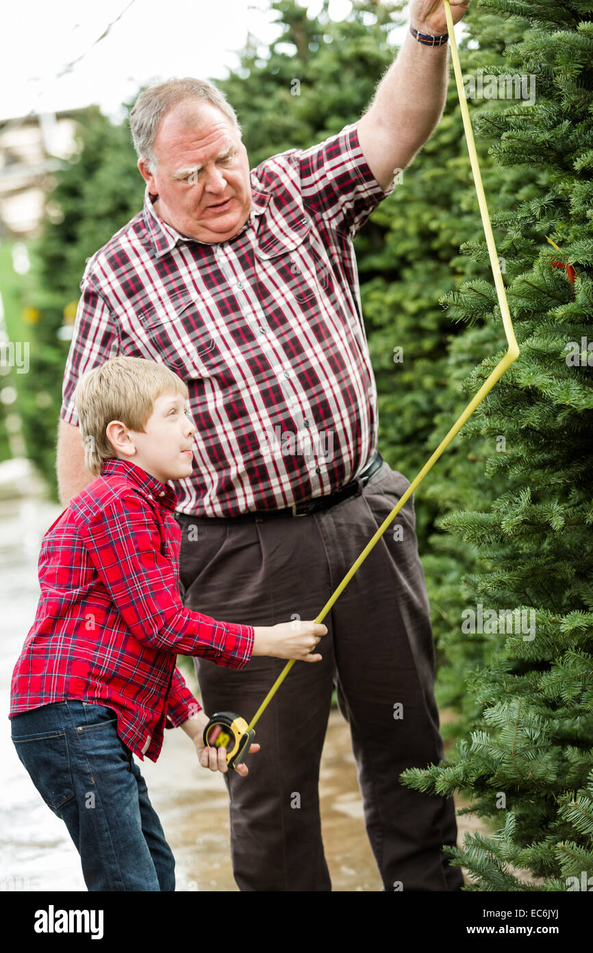 Family selecting a tree for Christmas at the Christmas tree farm Stock ...