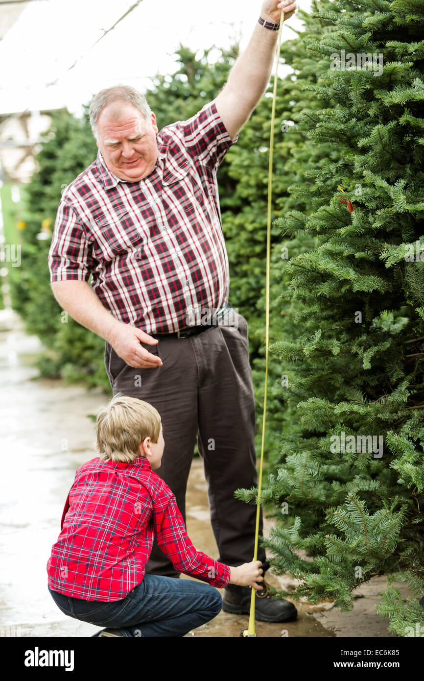 Family selecting a tree for Christmas at the Christmas tree farm. Stock Photo