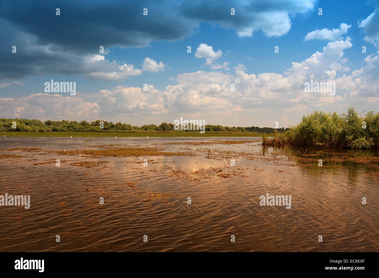 The last paradise of the Danube Delta Stock Photo