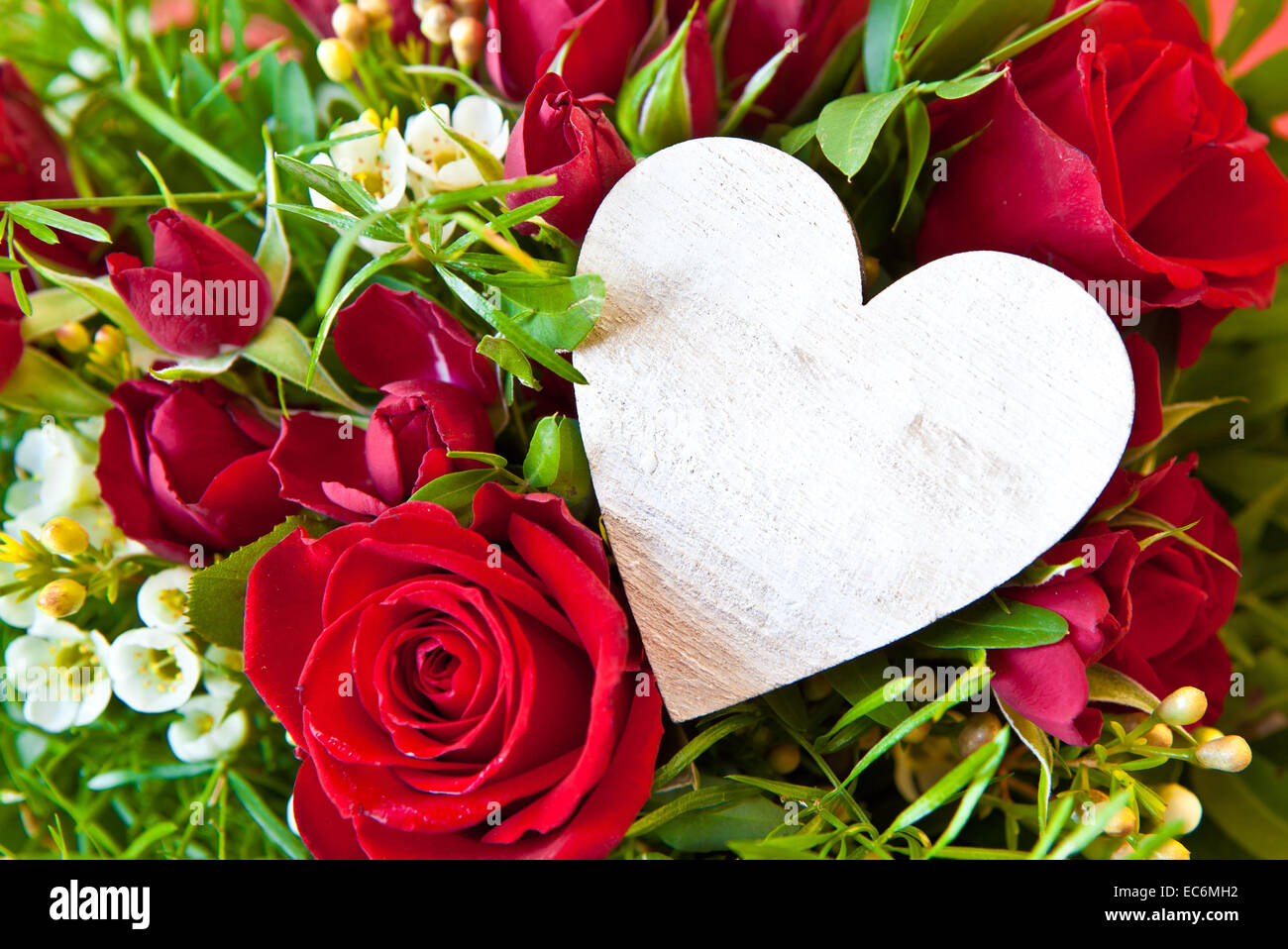 Background with red roses Stock Photo - Alamy