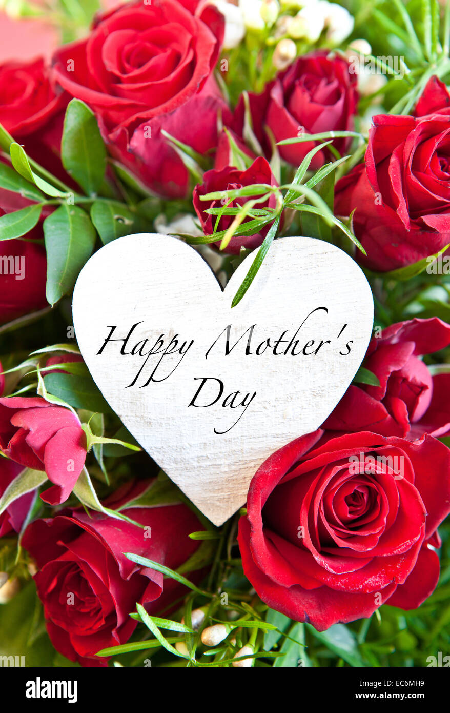 Background with red roses for mother s day Stock Photo Alamy