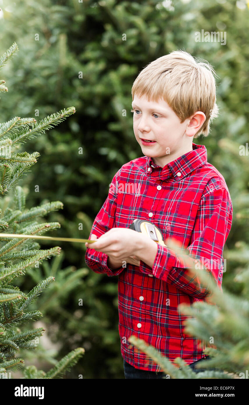 Family selecting a tree for Christmas at the Christmas tree farm Stock Photo Alamy