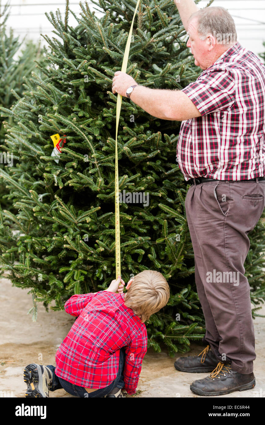 Family selecting a tree for Christmas at the Christmas tree farm Stock ...