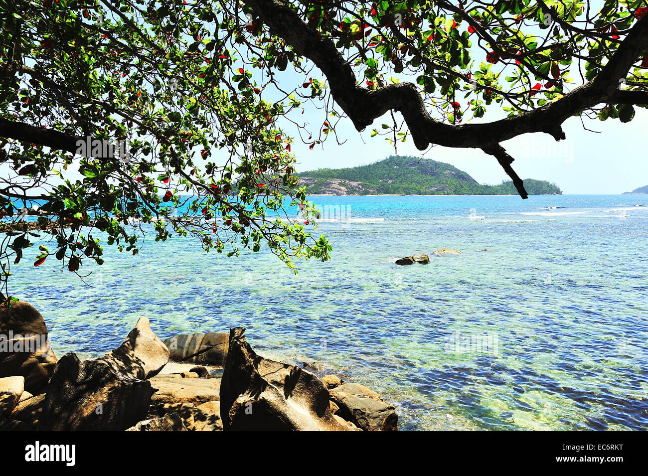 Bay of Port Glaud on island Mahé, Seychelles Stock Photo