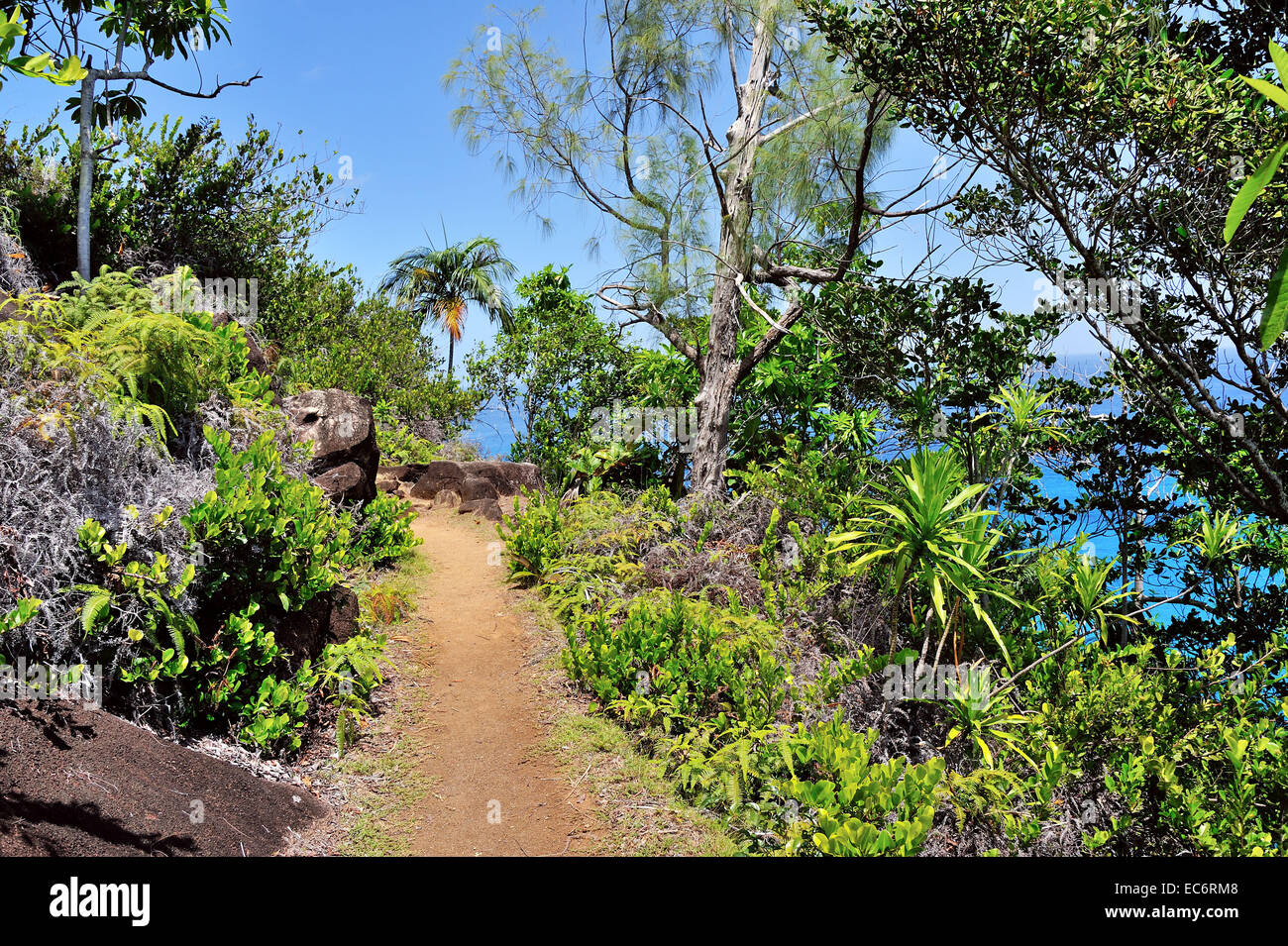 Nature Trail to the beach Anse Major on the island Mahé, Seychelles Stock Photo