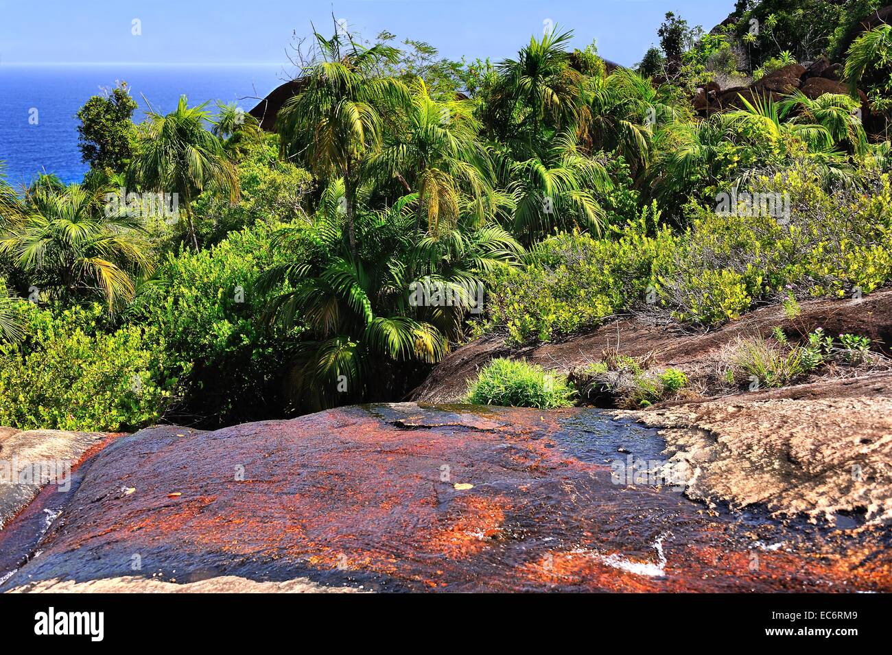 Nature Trail with spring to the beach Anse Major on the island Mahé, Seychelles Stock Photo