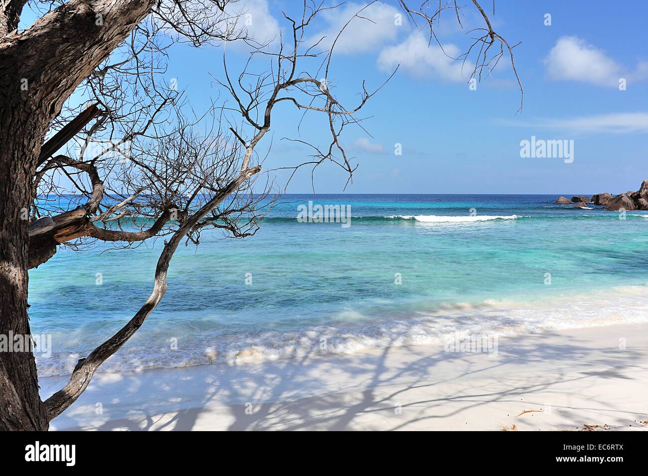 Beach Anse Cocos on La Digue, Seychelles Stock Photo
