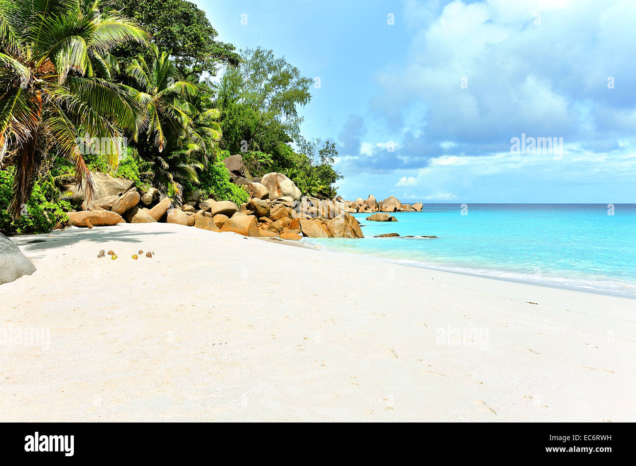Beach with palms, Anse Georgette on Praslin, Seychelles Stock Photo