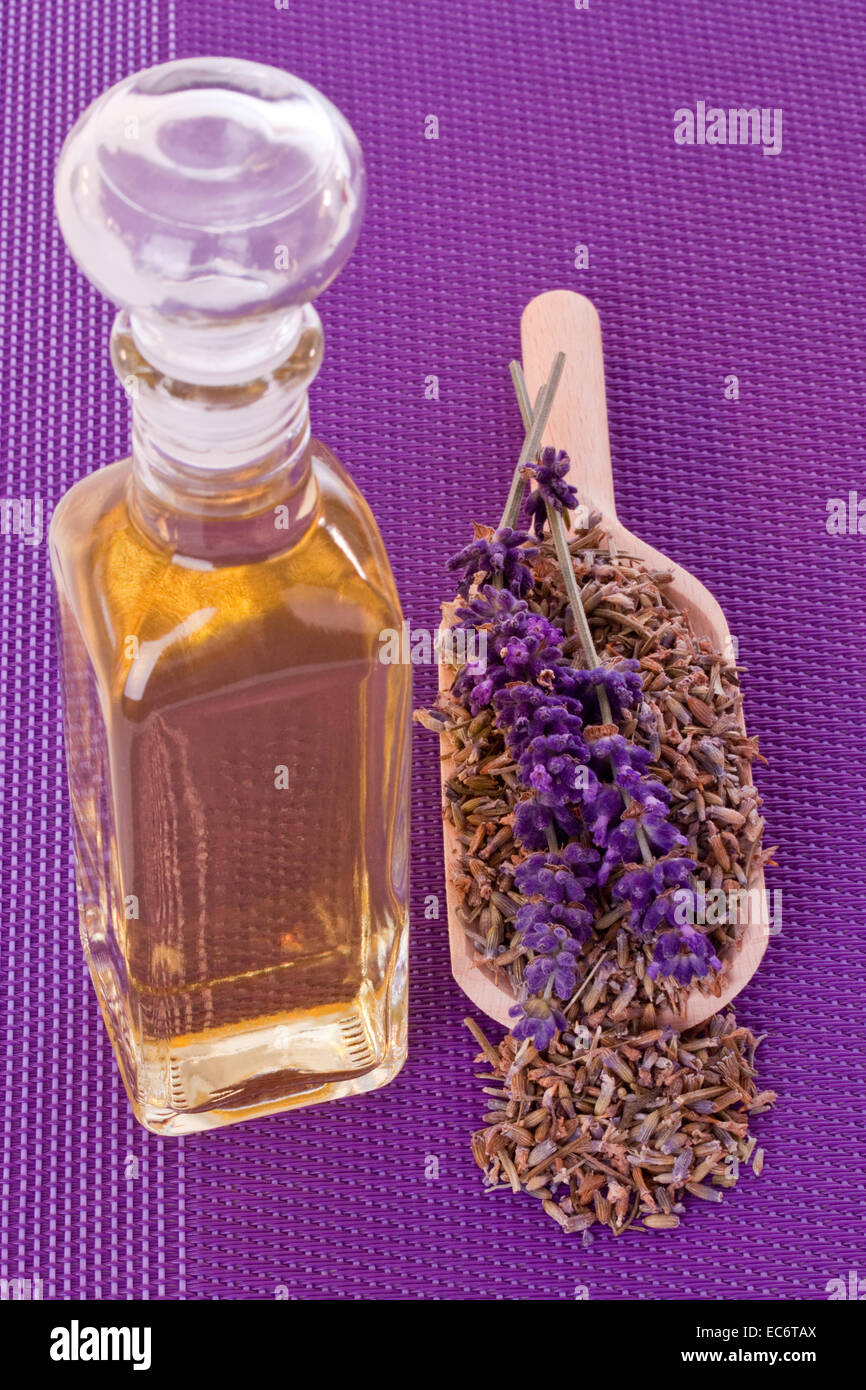 Bottle of oil with dried lavender blossoms over purple background Stock