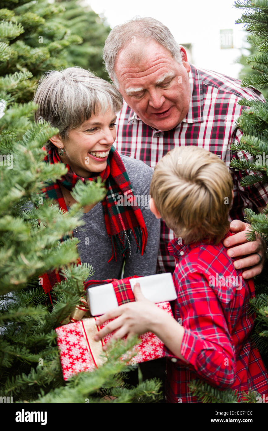 Family selecting a tree for Christmas at the Christmas tree farm Stock Photo Alamy