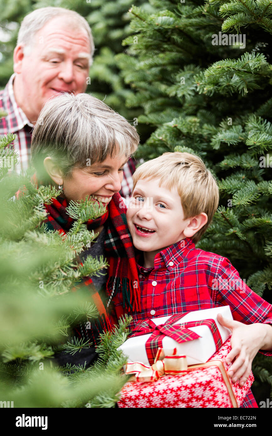 Family selecting a tree for Christmas at the Christmas tree farm Stock