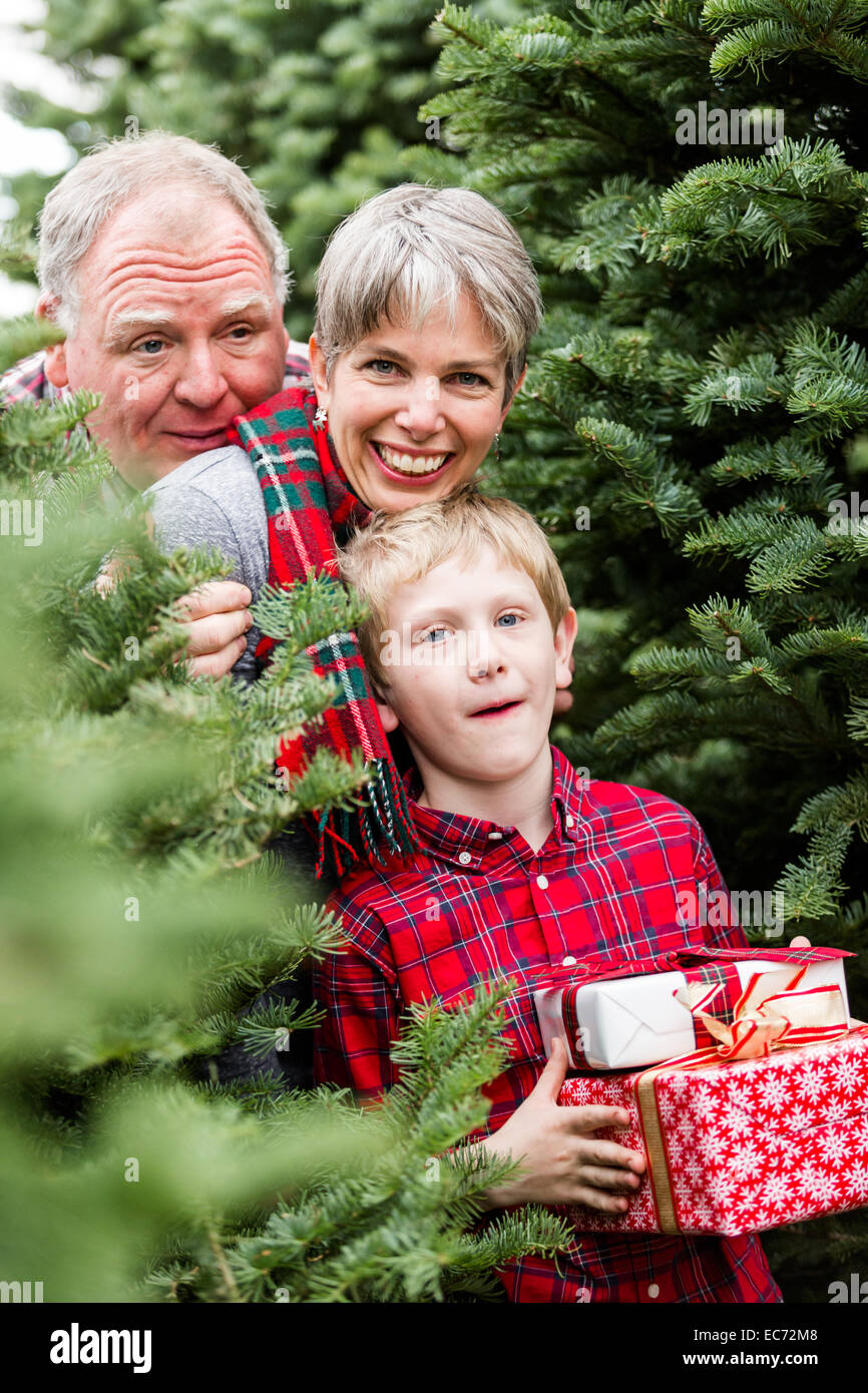 Family selecting a tree for Christmas at the Christmas tree farm. Stock Photo