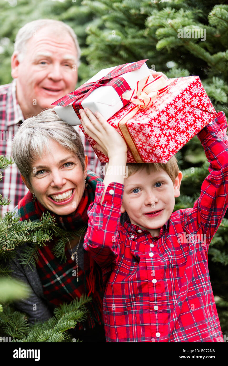 Family selecting a tree for Christmas at the Christmas tree farm Stock