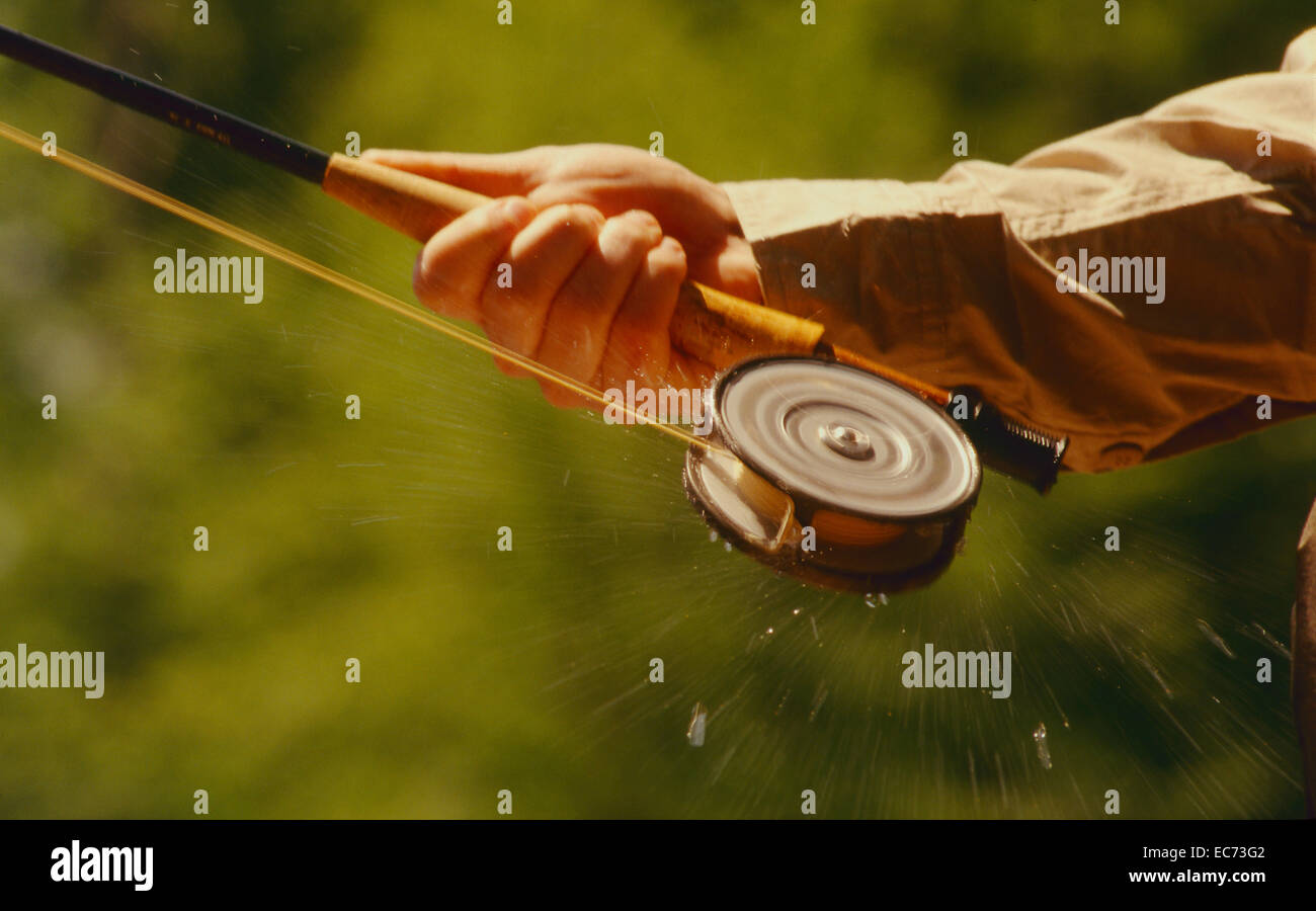 Drops of water spin from a fly fishing reel as line is stripped out. Stock Photo