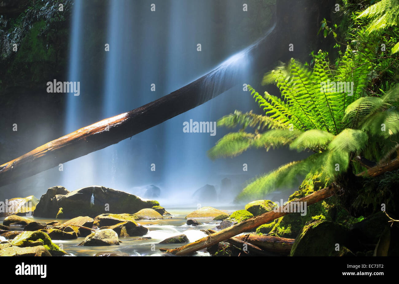 Hopetoun Falls, Cape Otway National Park, Victoria, Australia Stock