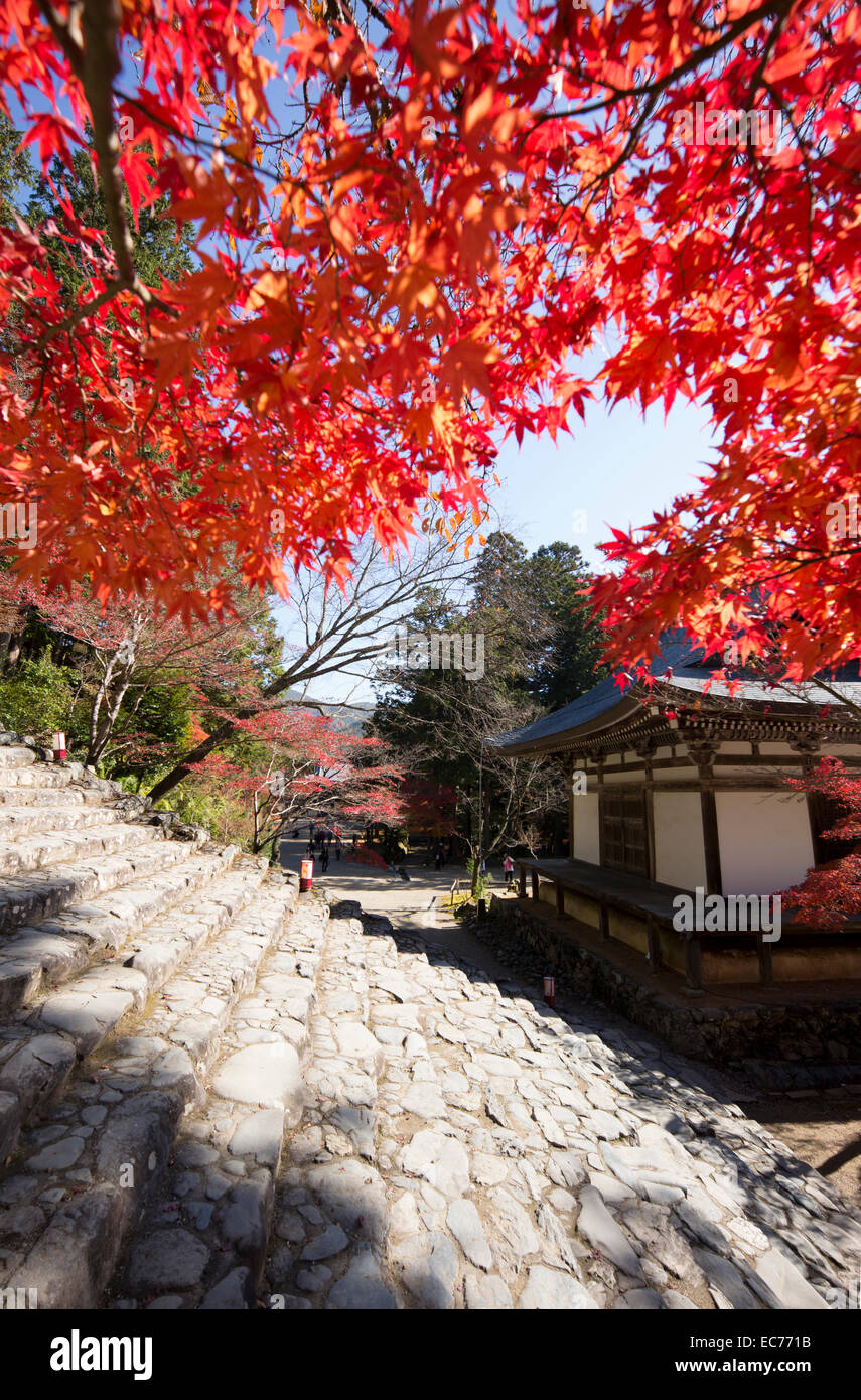 Autumnal color at Takao, near Kyoto, Japan Stock Photo