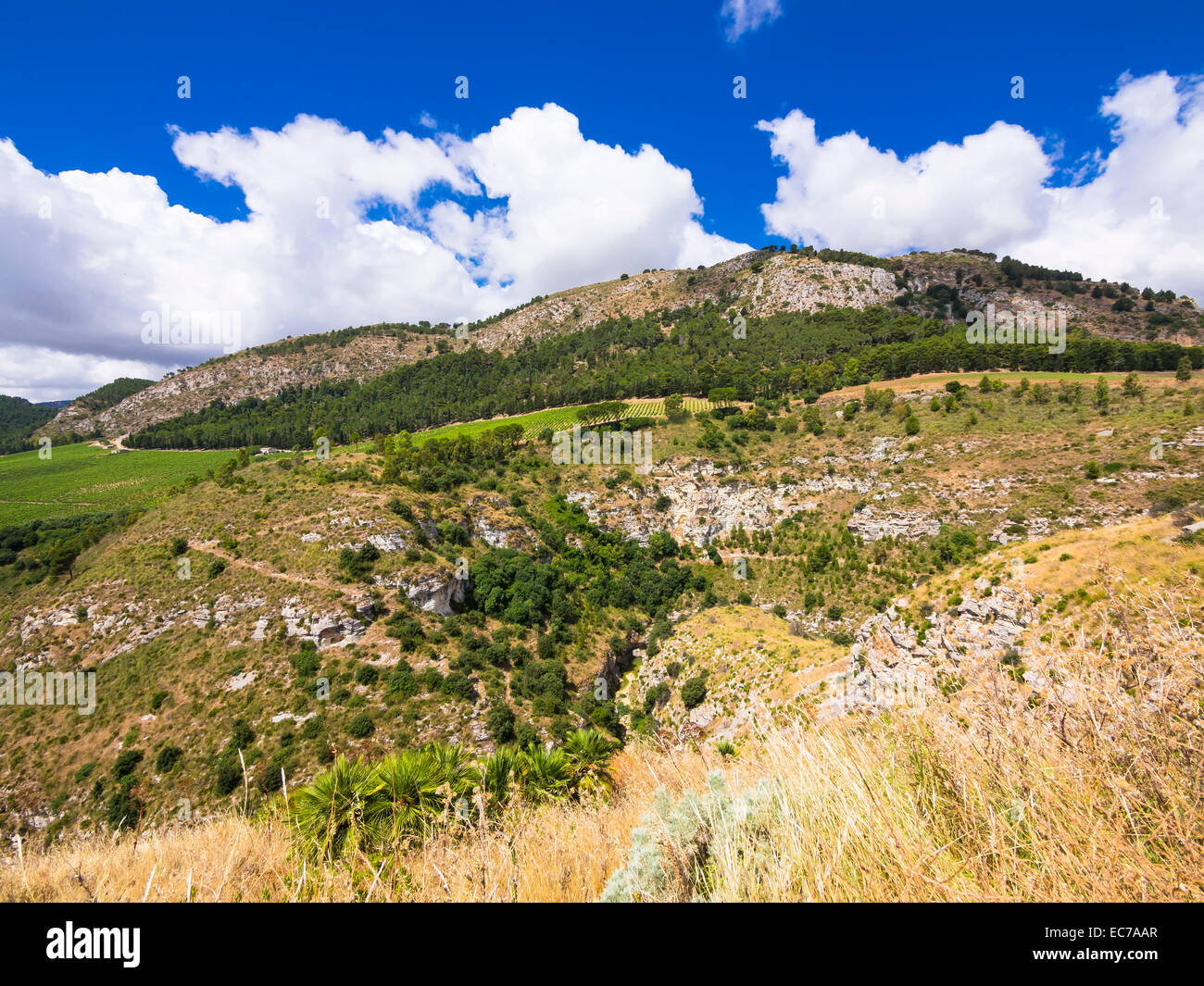 Italy, Sicily, Calatafimi, mountains of Segesta Stock Photo