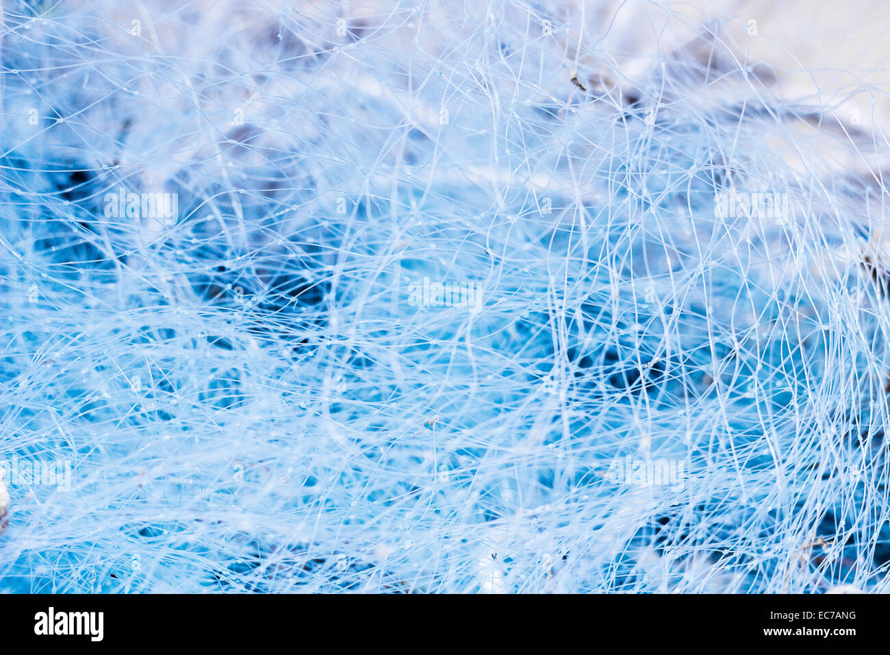 White theads of chaotic net Stock Photo