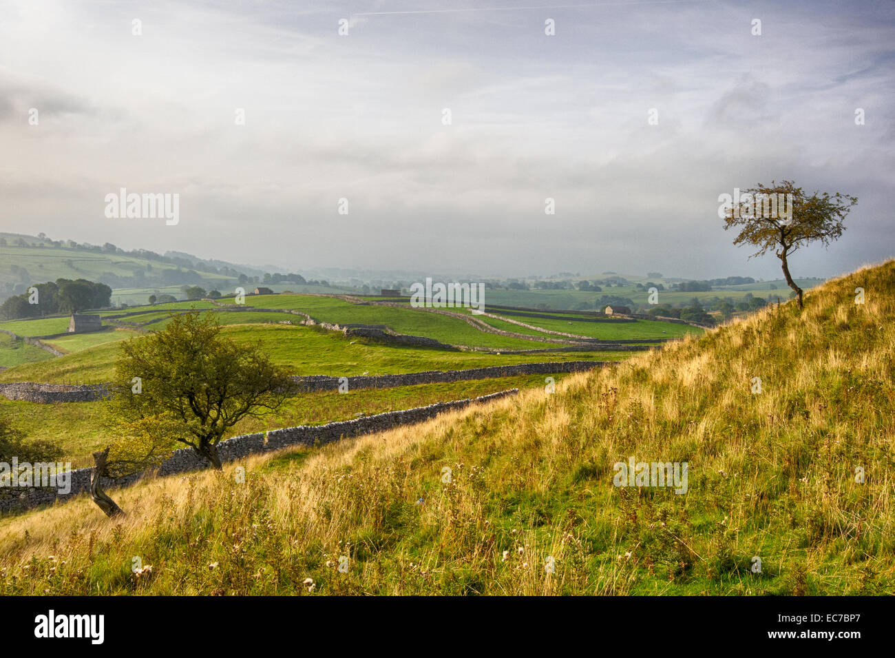Overlooking Malhamdale from above Malham Cove in the Yorkshire Dales National Park Stock Photo