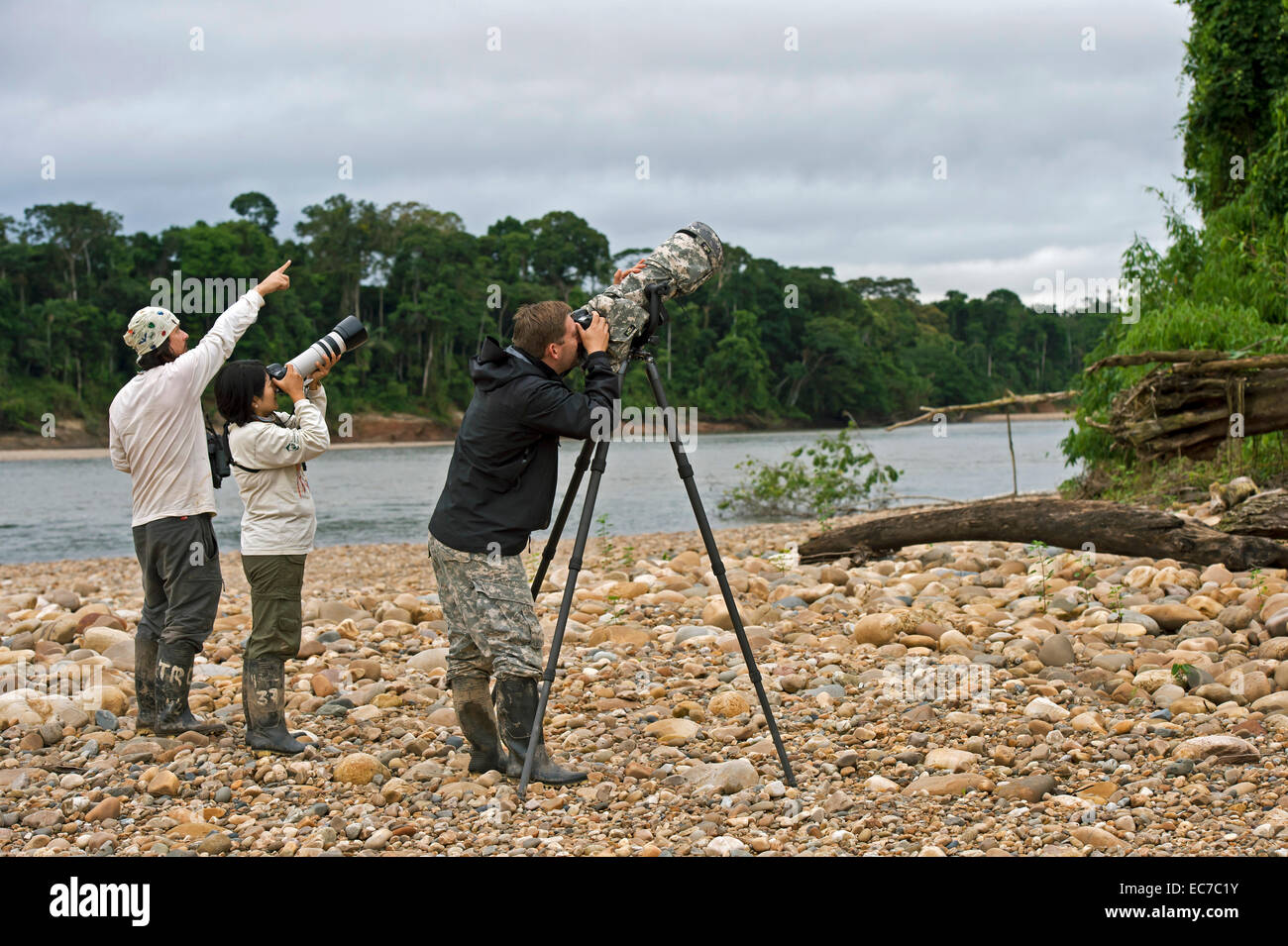 Bird watchers and photographers at the bank of the Tambopata river, Tambopata National Reserve, Madre de Dios, Peru Stock Photo