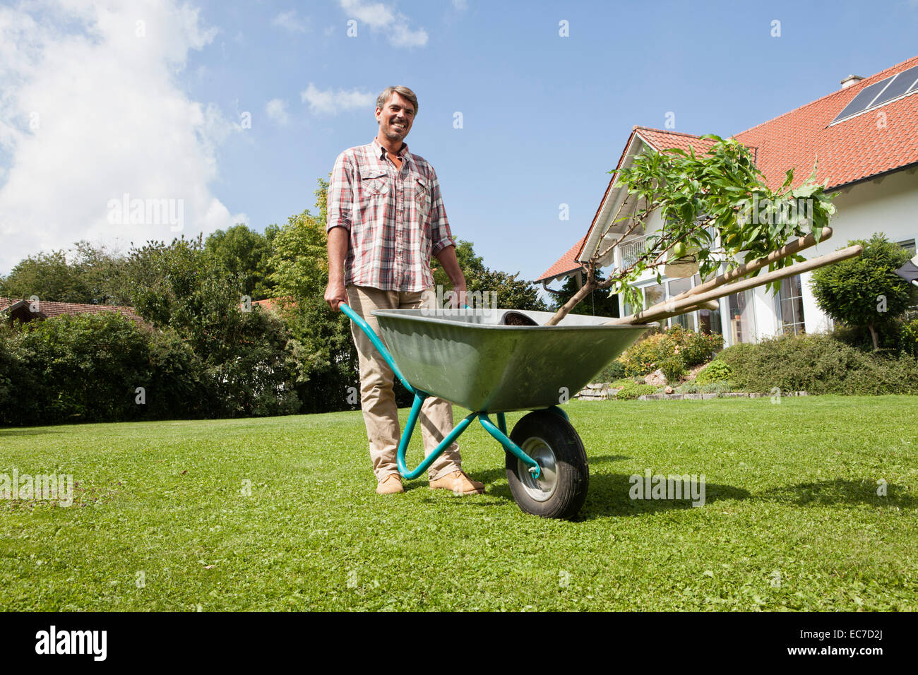 Man with wheelbarrow in garden Stock Photo