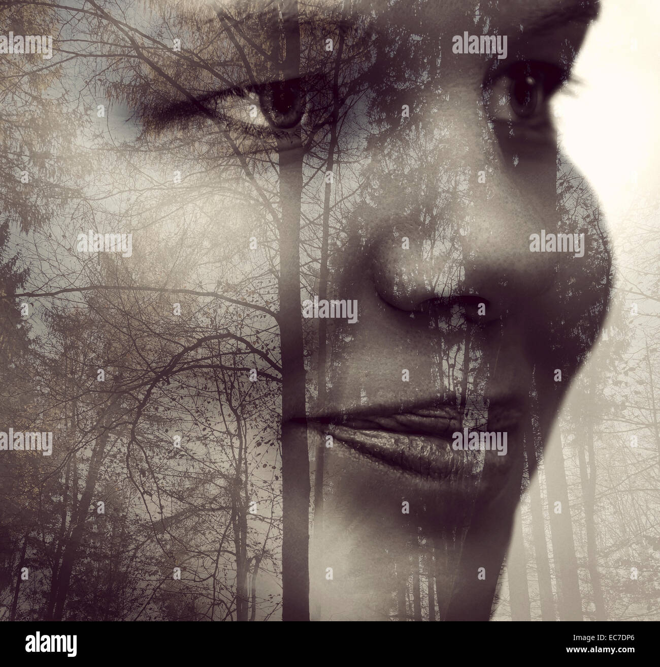 Young woman's face and silhouettes of trees in a wood, Double Exposure ...
