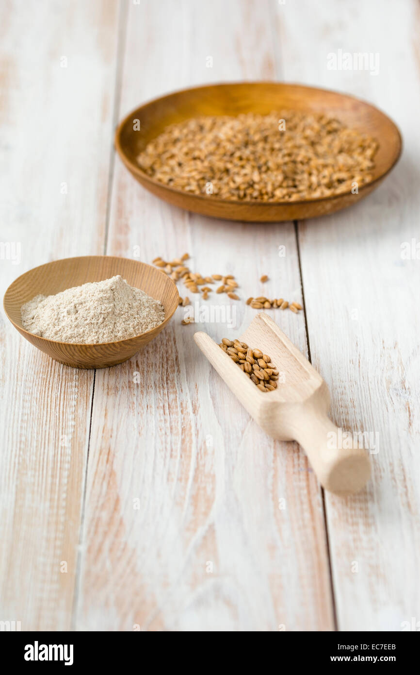 Bowl of emmer, Triticum dicoccum, and bowl of whole meal on light wood ...