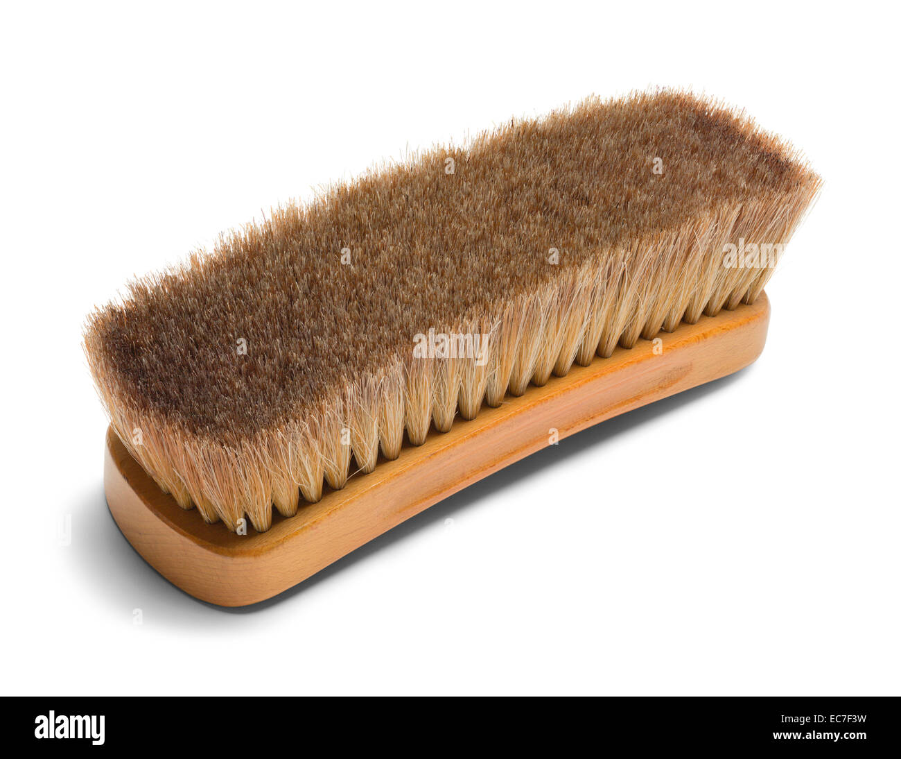 large horsehair shoe brush