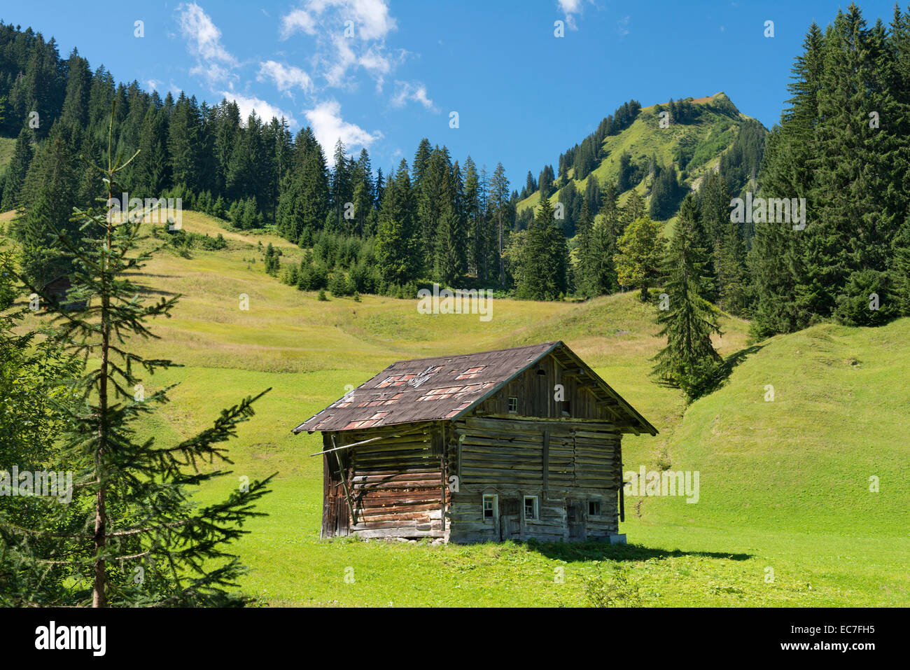 Austria, Vorarlberg, Kleinwalsertal, hut on apline meadow Stock Photo