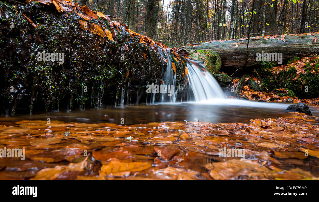 Germany, Bavarian Forest National Park, Steinbach, Waterfall in autumn Stock Photo