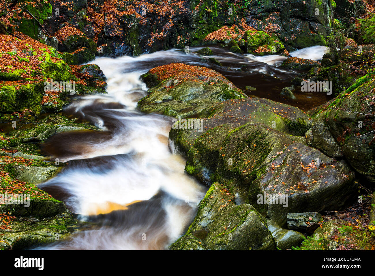 Germany, Bavarian Forest National Park, Steinbach gorge in autumn Stock Photo