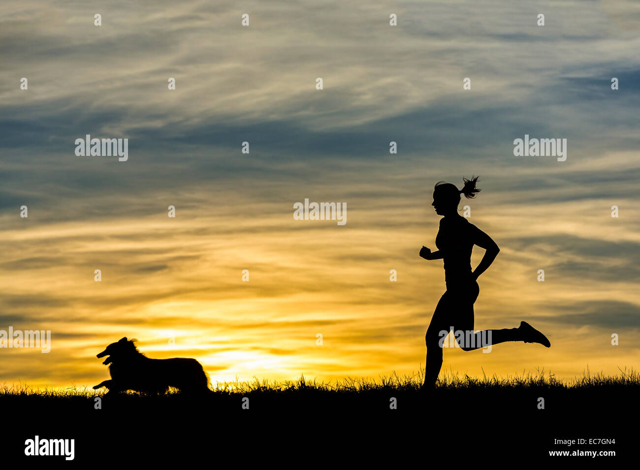 Germany, Female jogger with dog at sunset Stock Photo