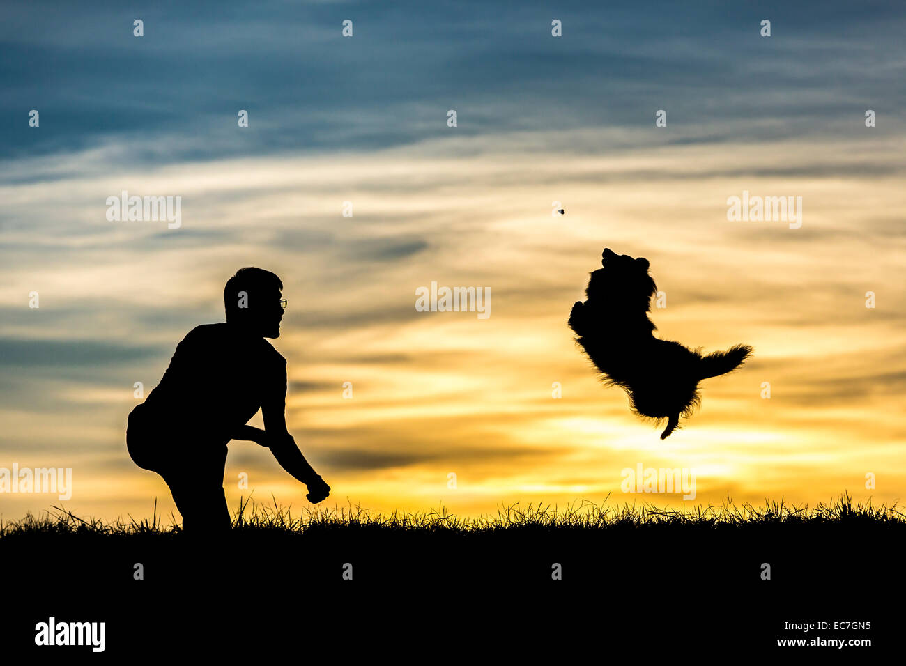 Germany, Man with dog, Silhouettes at sunset Stock Photo