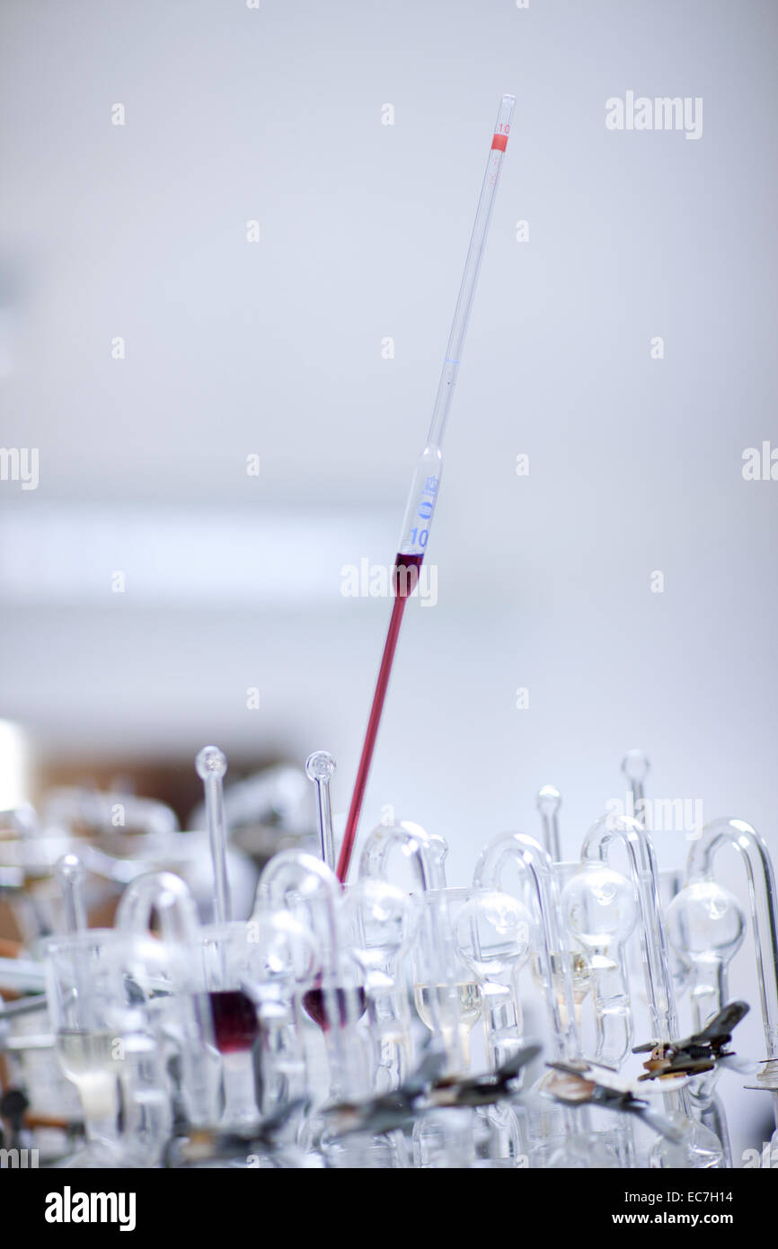 Wine Triangular Test South Africa, Wine tests in wine lab Stock Photo - Alamy
