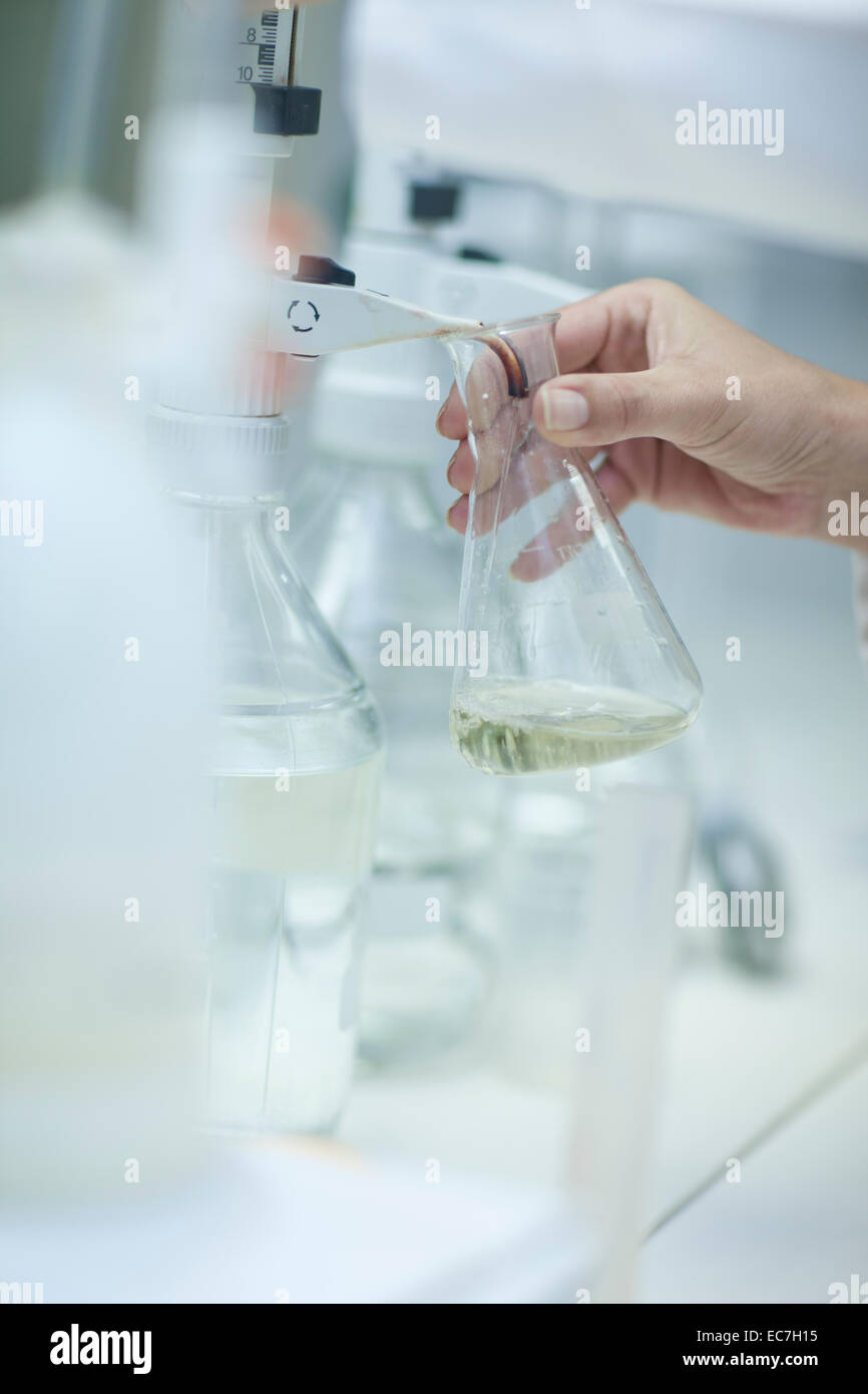 South Africa, Wine tests in wine lab Stock Photo Alamy