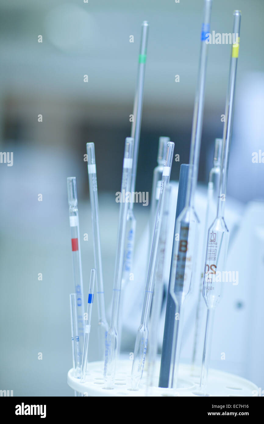 South Africa, Wine tests in wine lab Stock Photo Alamy