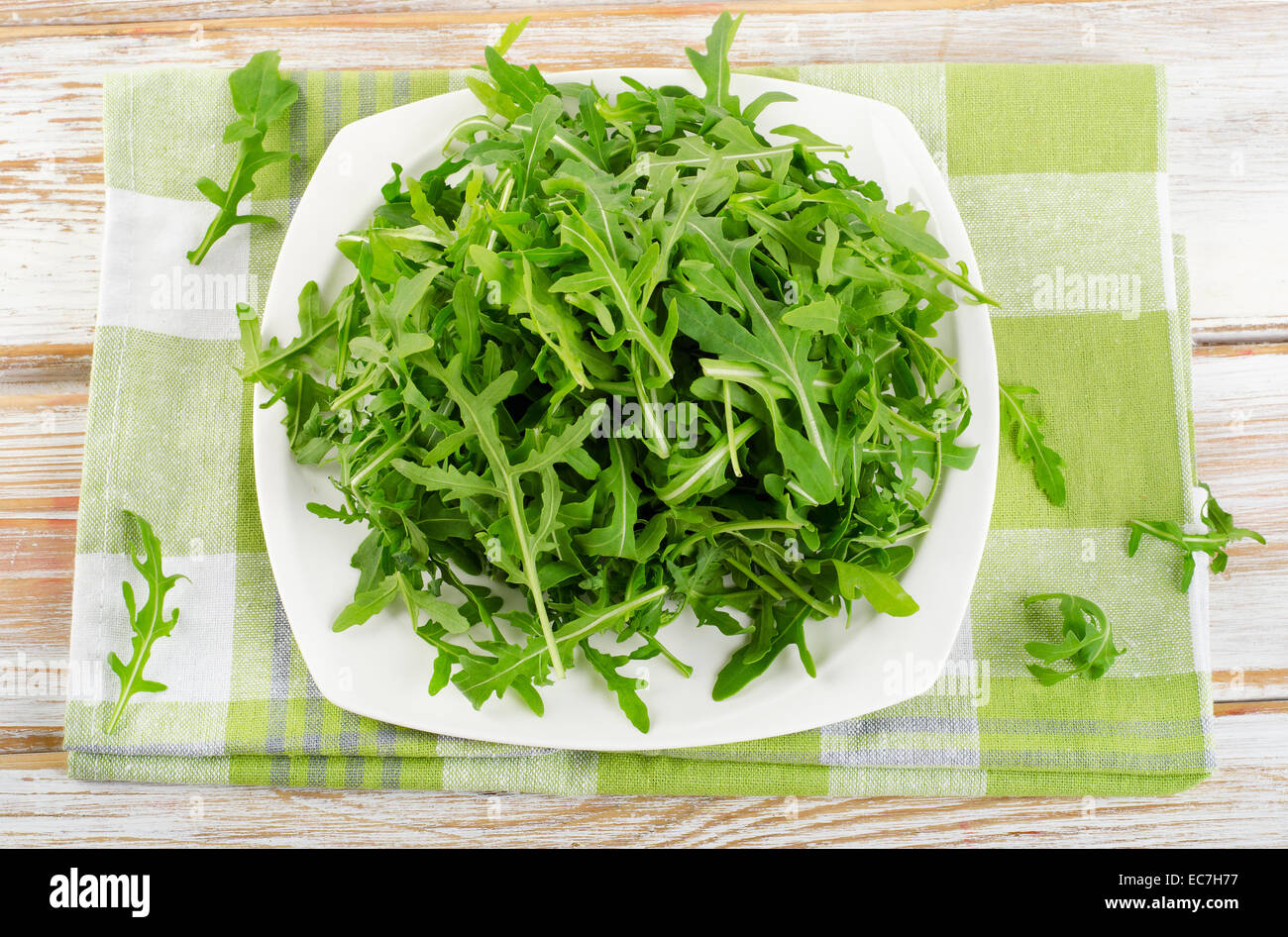 Fresh arugula salad on a white plate Stock Photo