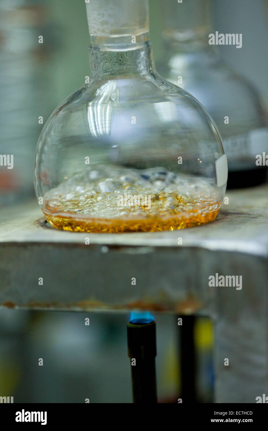 South Africa, Wine tests in wine lab Stock Photo Alamy